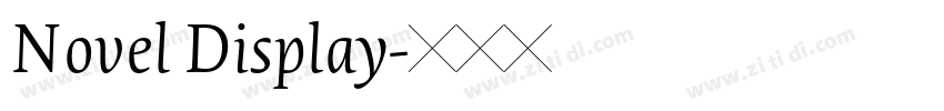 Novel Display字体转换